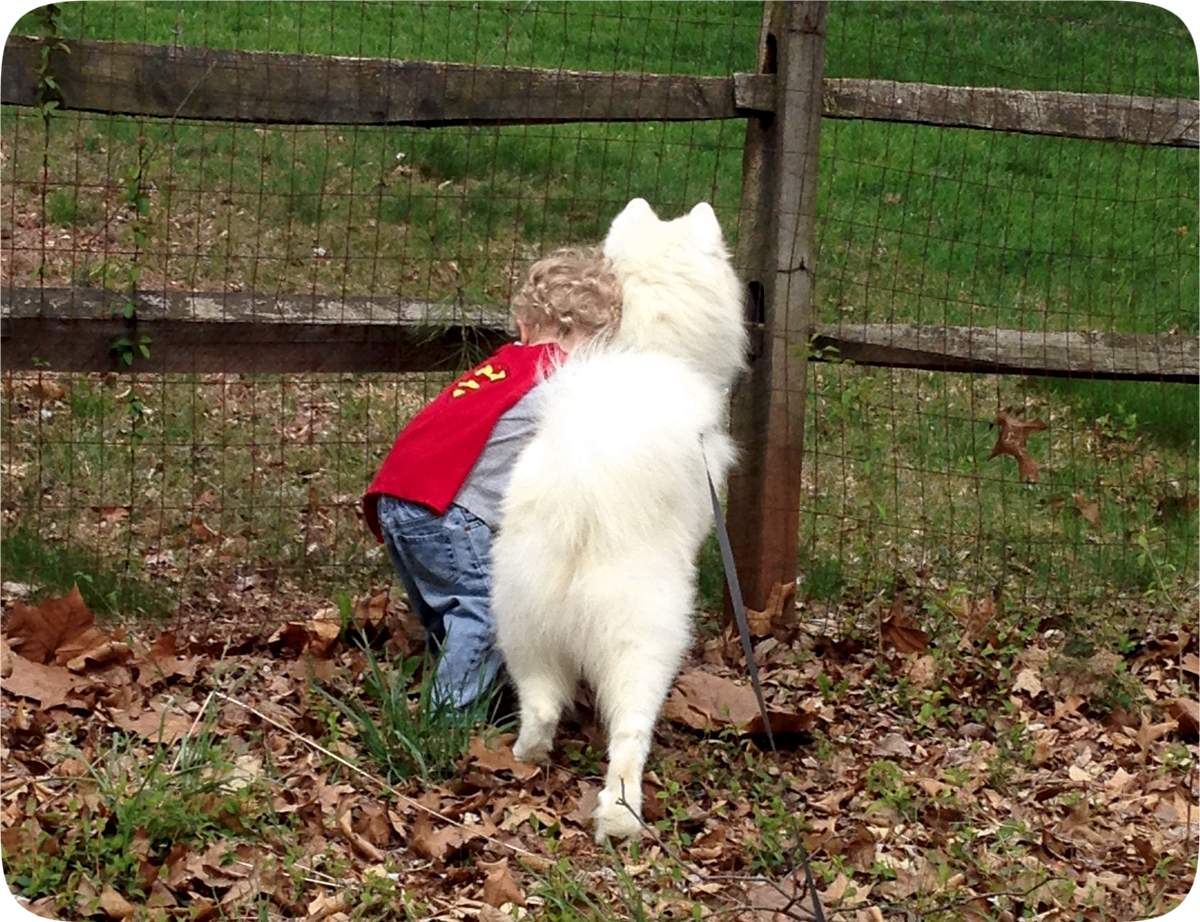 A boy and his dog - proof of the power of companionship